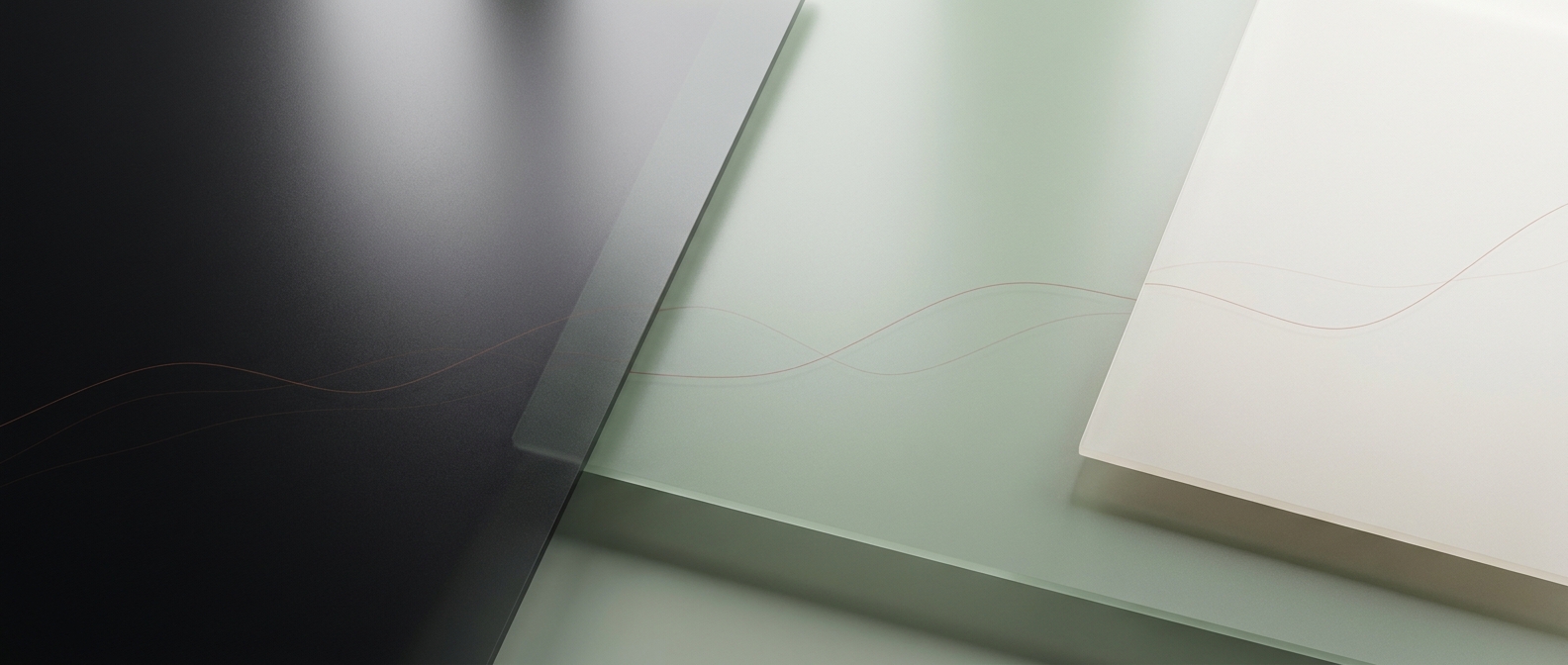 Embla Health cover
