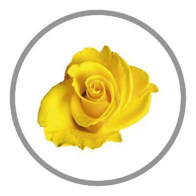 Runwood Homes logo