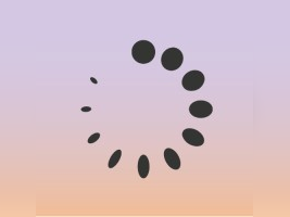 Cerina logo
