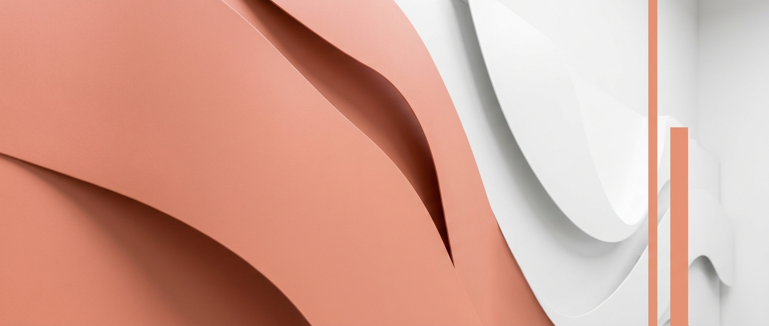 Arkh View Dental cover