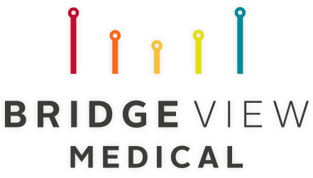 Bridge View Medical logo