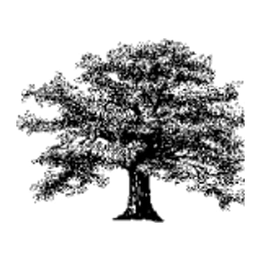 Boultham Park Medical Practice logo