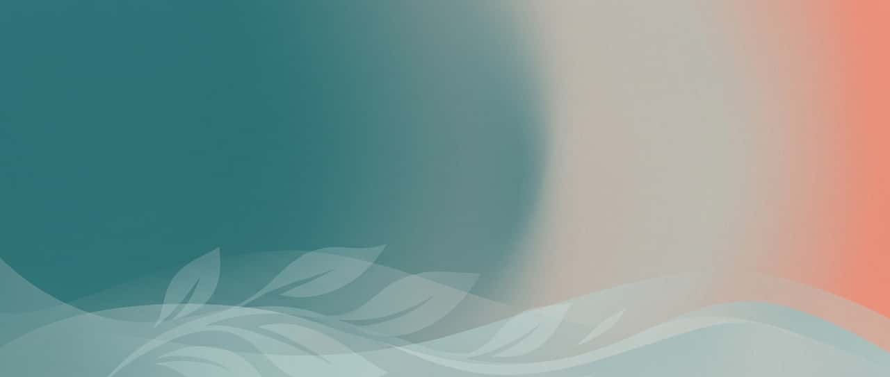Bolton Hospice cover