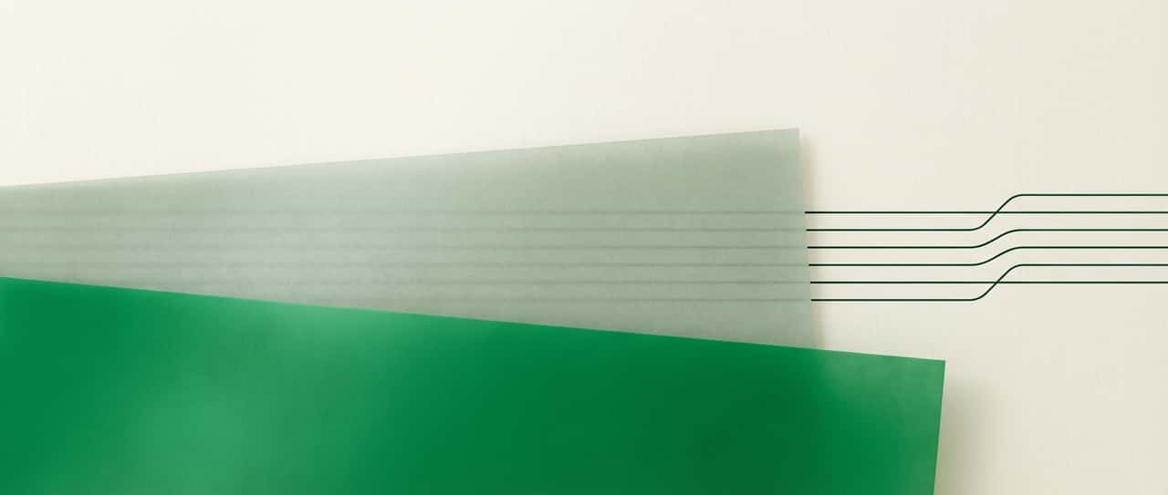 Eucalyptus cover