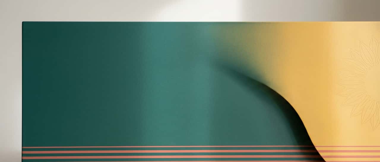 Pilgrims Hospices cover