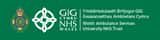Welsh Ambulance Services University NHS Trust logo