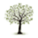 Minet Green Health Practice logo