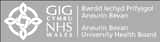 Aneurin Bevan University Health Board logo