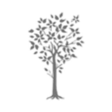 Wells Health Centre logo
