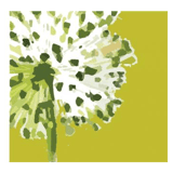 Hanham Health logo