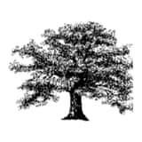 Boultham Park Medical Practice logo