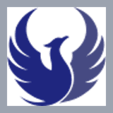 Phoenix Health Group logo