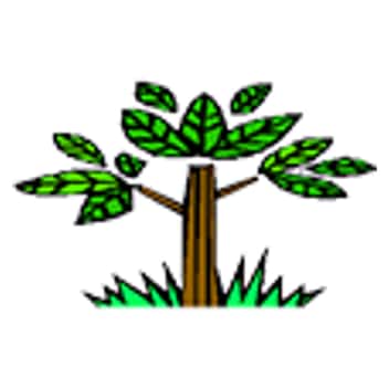 Peartree Medical Centre logo
