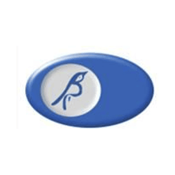 Bird in Eye Surgery logo