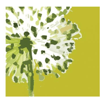 Hanham Health logo