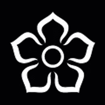 Leicester City Council logo