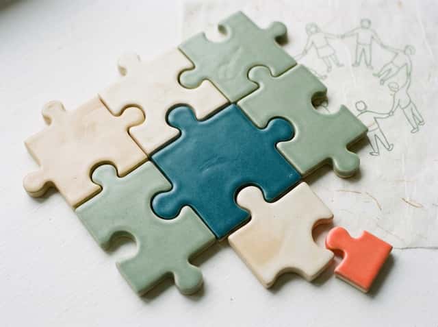 The Family Psychologist cover