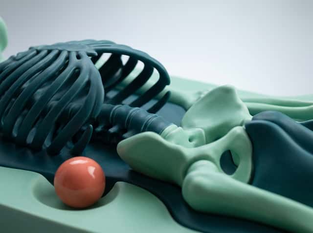 Shawe Physio cover