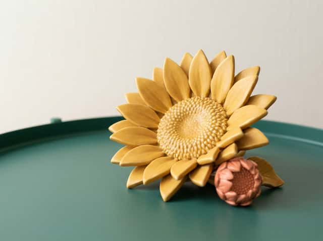 Pilgrims Hospices cover
