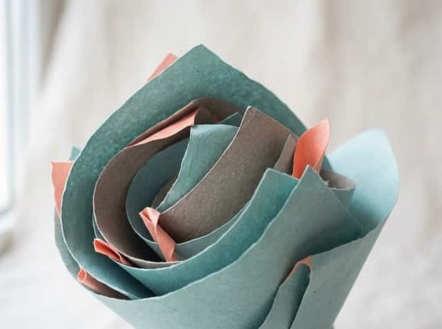 Bolton Hospice cover