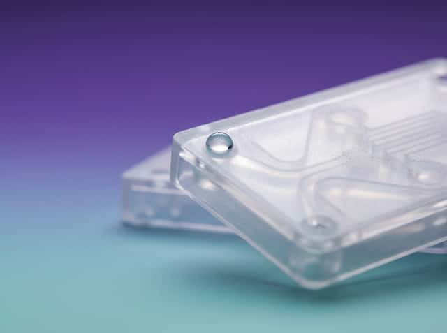 CelLBxHealth cover