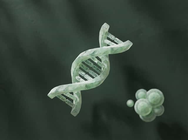 Quotient Therapeutics cover