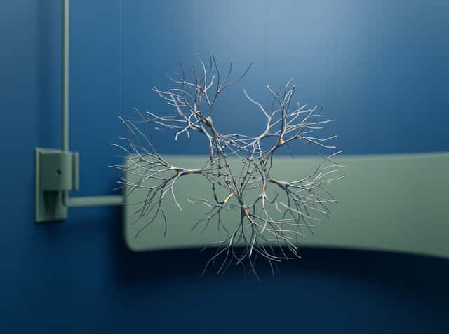 Bespoke Healthcare cover