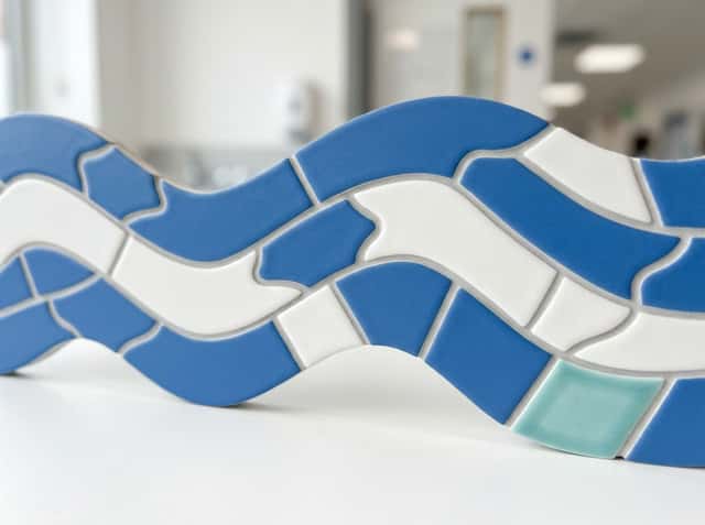 South Tees Hospitals NHS Foundation Trust cover