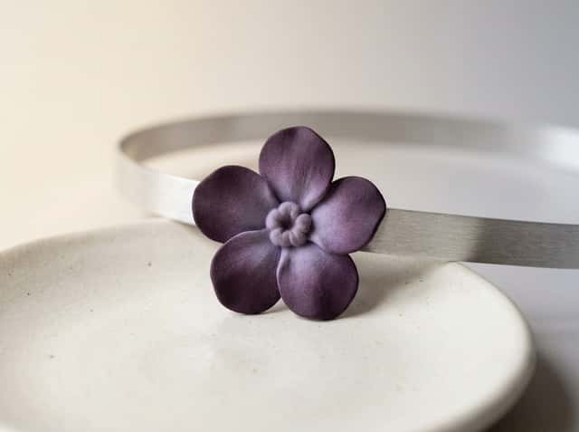 Teesside Hospice Care Foundation cover