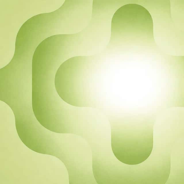 Eucalyptus cover