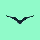 Flok Health logo