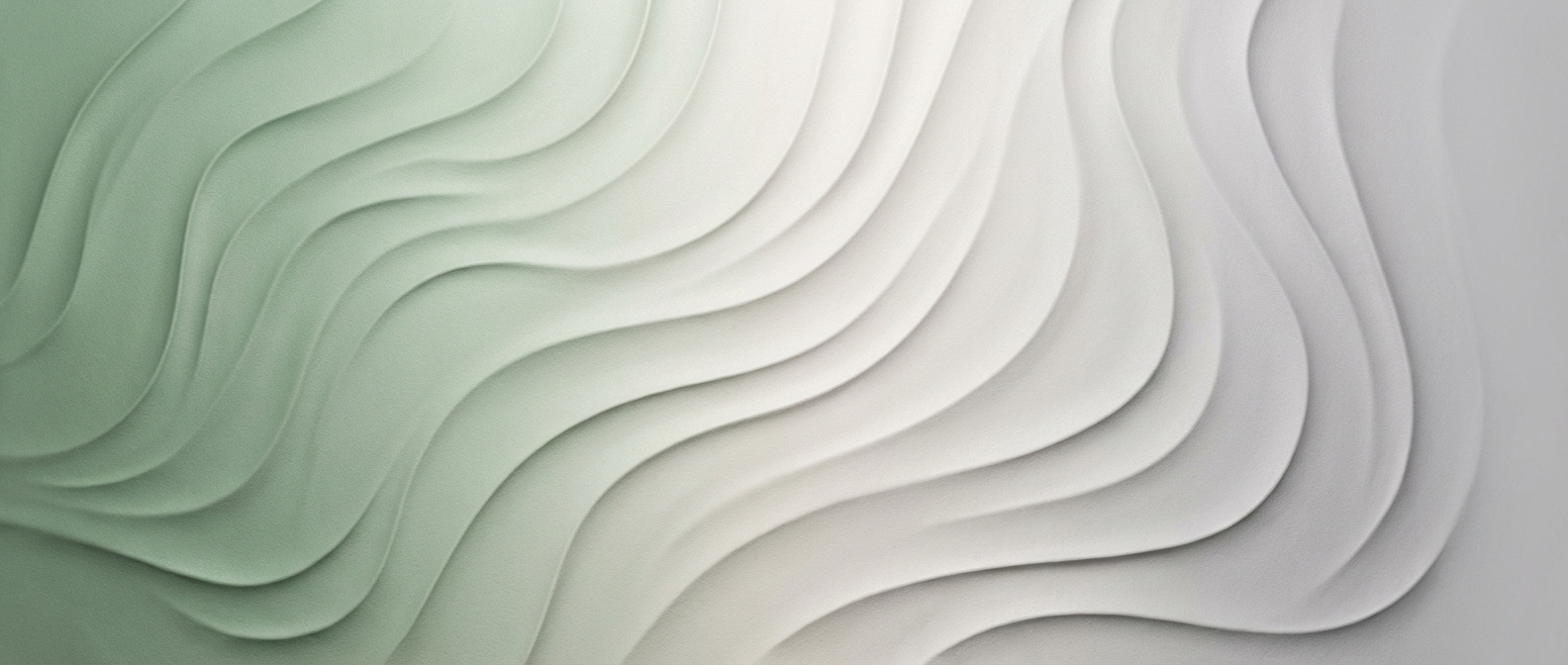 Flow Neuroscience cover
