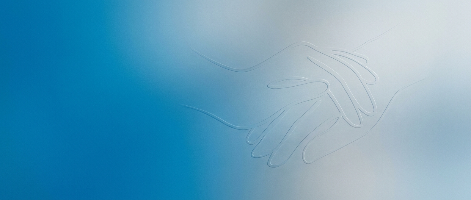 Bluebird Care cover